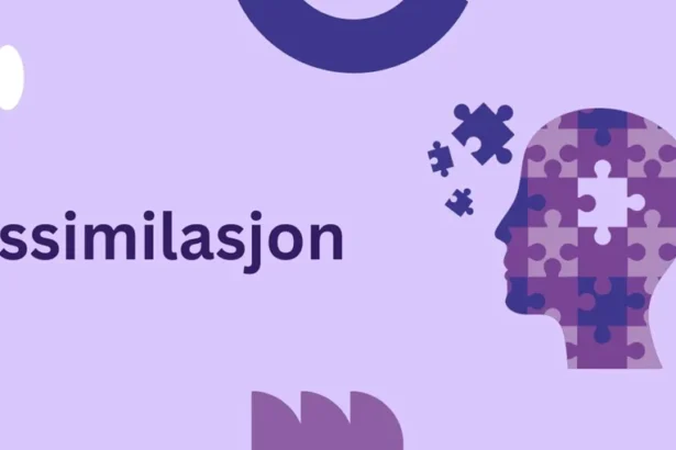 Assimilasjon