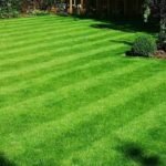 Greener Grass Landscaping
