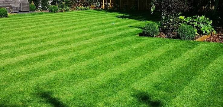 Greener Grass Landscaping